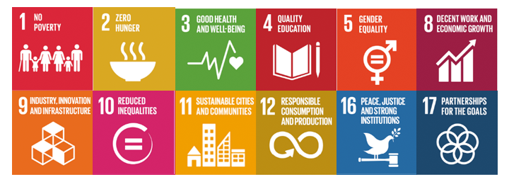 sustainable dev goals